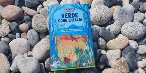 Il libro verde "Verde come l'Italia" giace tra ciottoli levigati, con un'illustrazione di natura e animali.