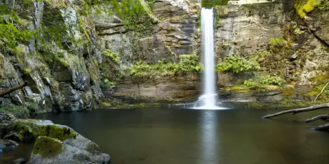 La fervenza do Pombar, una cascada serena rodeada de rocas cubiertas de musgo y vegetación exuberante, cae en una poza de aguas tranquilas.