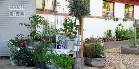 En lummig kvarnkulla trädgård med blommor i krukor och rabatter. En vit bänk och dekorativa spaljéer skapar en charmig miljö.