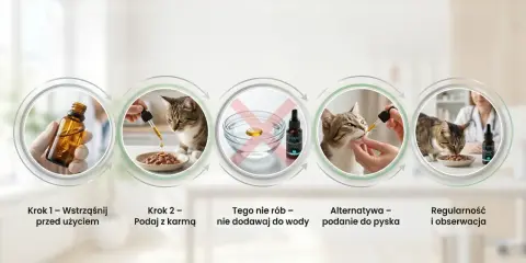 Instrukcja podawania olejku konopnego dla kota: wstrząśnij, dodaj do karmy lub podaj bezpośrednio do pyska. Unikaj dodawania do wody. Obserwuj efekty.