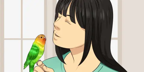 Una ragazza con un pappagallino colorato sulla mano, mentre pensa a cosa sono i coccidi e come proteggere il suo amico piumato.