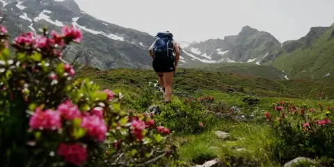 Kobieta z plecakiem idzie szlakiem wśród kwitnących rododendronów. W tle góry z resztkami śniegu. Sprawdź, jakie warunki na szlakach w Tatrach!