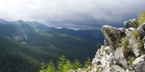 Widok na gęsty las świerkowy i skaliste zbocze w Tatrach pod zachmurzonym niebem.