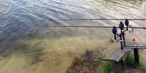 Wędki ustawione nad wodą, widoczna zielona żyłka, idealna jaka plecionka na karpia.