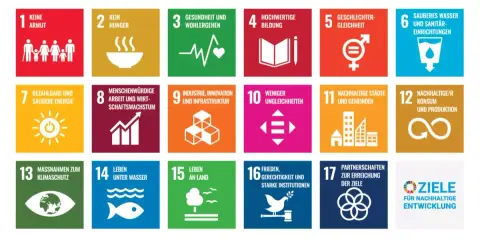Die Ziele für nachhaltige Entwicklung, darunter Maßnahmen zum Klimaschutz weltweit, Bildung und sauberes Wasser.