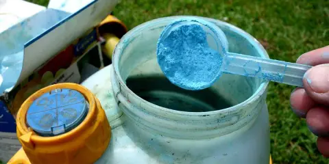 Préparation du traitement choux bouillie bordelaise. Une cuillère bleue de poudre est versée dans un pulvérisateur.
