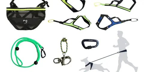 Utrustning för canicross hund och löpare: midjebälte, selar, koppel och karbinhake.