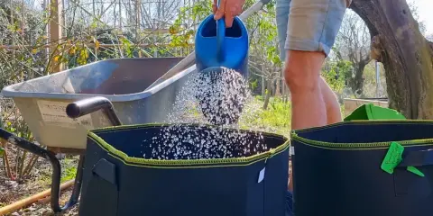 Arrosage d'un sac de culture pour faire pousser des pommes de terre dans une poubelle.