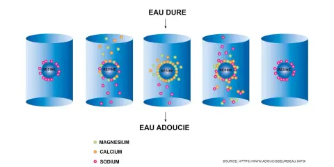 Schéma illustrant l'échange ionique dans un adoucisseur d'eau. La régénération adoucisseur tous les combien de temps dépend de la saturation des résines en calcium et magnésium.