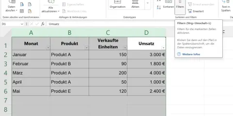 Excel-Tabelle mit aktivierter excel filter funktion. Daten zu Verkauf und Umsatz werden angezeigt.