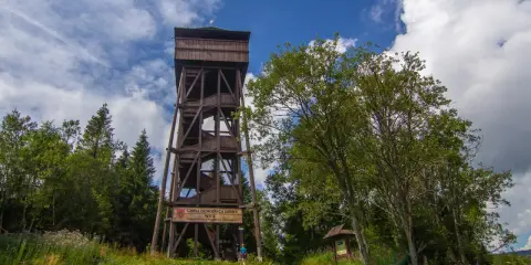 Drewniana wieża widokowa na Magurkach zaprasza do podziwiania panoramy. Wokół bujna zieleń i błękitne niebo.