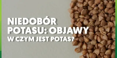 Niedobór potasu: objawy i w czym jest potas? Zdjęcie przedstawia kaszę gryczaną, która jest dobrym źródłem potasu.