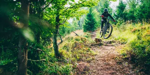 Rowerzysta w kasku skacze na trasie w bike park szczyrk. Leśna ścieżka pełna zieleni i słońca.