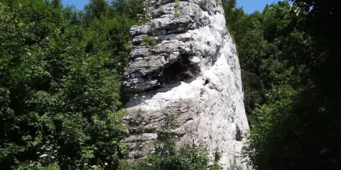 Wysoka, biała skała w otoczeniu bujnej zieleni, tworząca malowniczy krajobraz skalnego miasta w Polsce.
