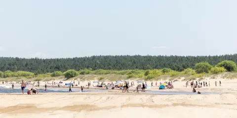 Słoneczna plaża pełna ludzi, z lasem w tle. To idealne miejsce na wypoczynek, jak w urokliwej wsi nad morzem.
