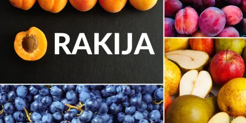 Rakija z czego? Z moreli, śliwek, jabłek, gruszek i winogron.