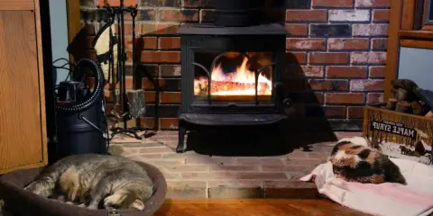 Installation poêle à bois avec deux chats endormis près du feu. Un chat tigré dort dans un panier, l'autre, tricolore, sur une couverture.