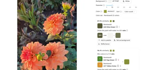 Naranjas flores de dalia y hojas verdes. El selector de color muestra con qué colores se hace el verde: verde oliva y verde savia.