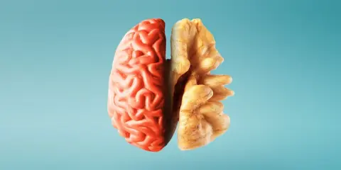 Metà cervello rosso e metà noce, un'immagine che evoca i 12 alimenti che fanno bene al cervello e alla memoria.