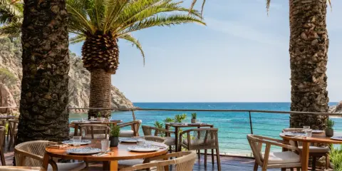 Mesas de restaurante con vistas al mar en el pola giverola resort, bajo palmeras.