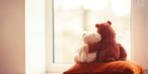 Dzień Pluszowego Misia: Kiedy, dlaczego i jak świętować?