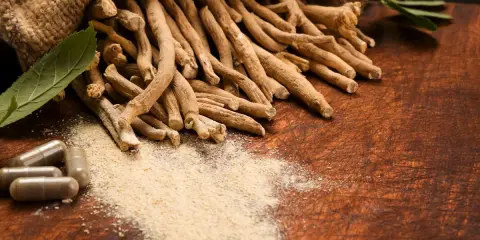 Racines d'ashwagandha en vrac et en gélules, poudre fine. Attention à l'ashwagandha danger potentiel.