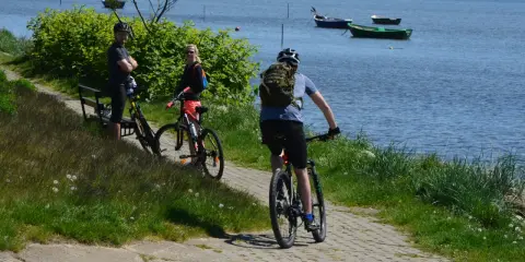 Trasa rowerowa Gdańsk Hel: trójka rowerzystów podziwia widok na zatokę, jeden z nich rusza dalej.