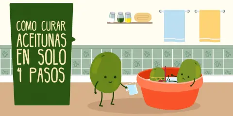 Ilustración de cómo curar aceitunas verdes en 4 pasos. Unas aceitunas animadas preparan su baño.