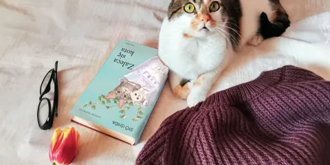 Kociak przy książce "Zaleca się kota". Obok leżą okulary i tulipan.