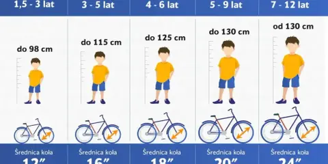 Tabela rozmiarów rowerów dla dzieci: wiek, wzrost i średnica koła. Dobierz odpowiednią ramę s na jaki wzrost dla swojego dziecka.