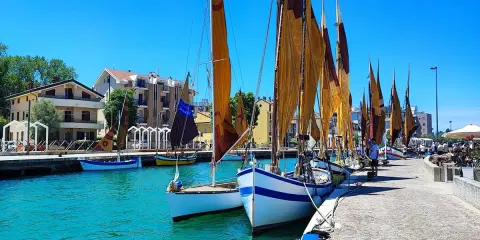 Barche a vela ormeggiate in un porto con case colorate sullo sfondo. Un dilemma: meglio Bellaria o Igea Marina?