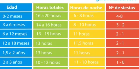 Tabla de sueño infantil: un bebé de 19 meses necesita unas 13 horas totales de sueño, con 11,5 horas de noche y 2-1 siestas.