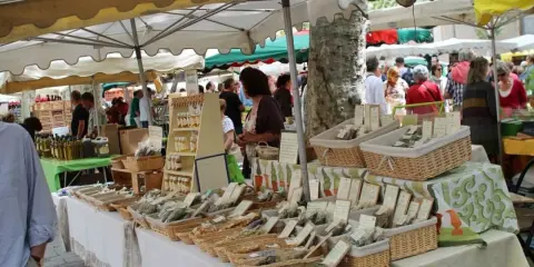 Ambiance animée au marché de Lourmarin, avec des étals de produits locaux, herbes aromatiques et bouteilles d'huile d'olive.