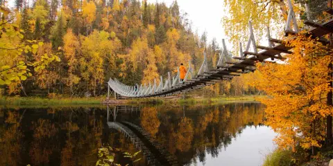 En hängbro över en spegelblank sjö i Lapplands natur, omgiven av höstens gyllene lövträd.