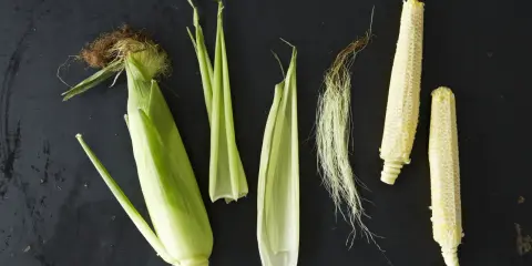 Corn husks, silk, and cobs are arranged on a dark surface. This visual might inspire thoughts on how far apart to plant corn for optimal growth.