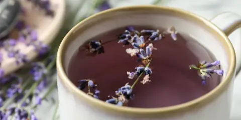 Aromatic herbata z lawendy, choć relaksująca, ma swoje przeciwwskazania. Napar w filiżance z kwiatami lawendy.