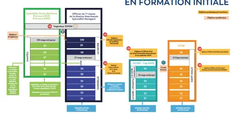 Le schéma des études ENSM montre les parcours pour devenir officier ou ingénieur maritime. Un futur boat captain peut y trouver sa voie.