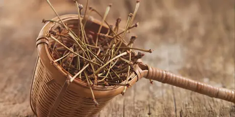Un panier en osier rempli de tiges sèches, vestiges d'une récolte de cerises. Chaque queue de cerise évoque la douceur de l'été.