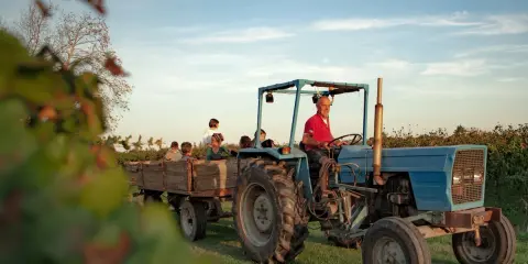 Un trattore blu traina un carro pieno di bambini, un'esperienza indimenticabile di dormire in fattoria con bambini.