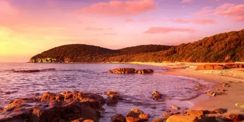Tramonto infuocato sulla costa, con colline boscose e rocce che emergono dal mare. Un luogo magico da scoprire, la punta ala cosa vedere.