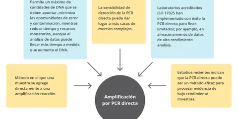Diagrama de flujo con un círculo central que dice "Amplificación por PCR directa" rodeado de cuadros de texto con información sobre sus beneficios y aplicaciones.