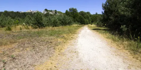 Droga przez las prowadzi do skalistych wzniesień. To ścieżka w centrum dziedzictwa przyrodniczego i kulturowego Jury.