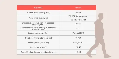 Tabela norm dla USG serca u dorosłych: rozmiar, masa, grubości ścian, frakcja wyrzutowa, objętość krwi na uderzenie i ilość wydalanej krwi.