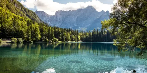 Krystalicznie czyste jezioro w regionie Friuli-Wenecja Julijska, otoczone lasem i majestatycznymi górami.