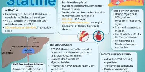 Statine: Häufige Nebenwirkung sind Muskelschmerzen. Die Frage, wie lange Muskelschmerzen nach Absetzen von Statinen anhalten, wird hier nicht direkt beantwortet, aber CK-Kontrolle bei Schmerzen empfohlen.
