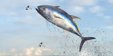 Un tonno balza fuori dall'acqua, circondato da spruzzi, con due pesci volanti che gli volano accanto. La pesca tonno è un'attività emozionante.