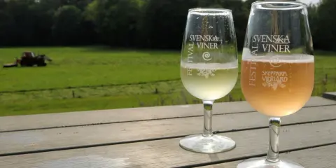 Två glas med bubbel står på ett träbord med utsikt över ett fält och skog. Ett av glasen är märkt "Skepparps Vingård".