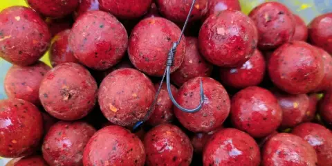 Czerwone kulki proteinowe, idealne na karpia, błyszczą w słońcu. Haczyk czeka na branie.