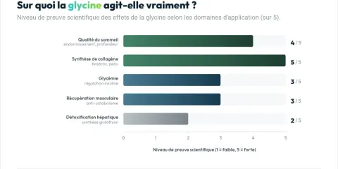 Graphique montrant les glycine bienfaits : sommeil (4/5), collagène (5/5), glycémie (3/5), récupération musculaire (3/5), détox hépatique (2/5).