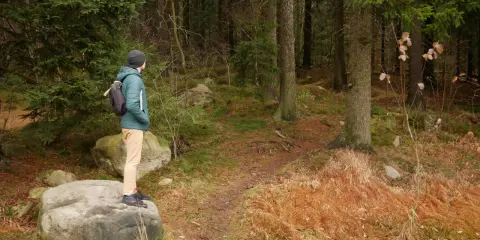 Mężczyzna w zielonej kurtce stoi na skale, podziwiając leśne **szlaki Gór Stołowych**.